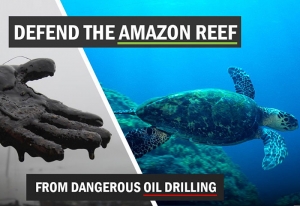 Brazil turns down Total drilling license near Amazon reef