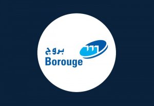 ADNOC’s JV Borouge Sets IPO Offer Price at $0.66