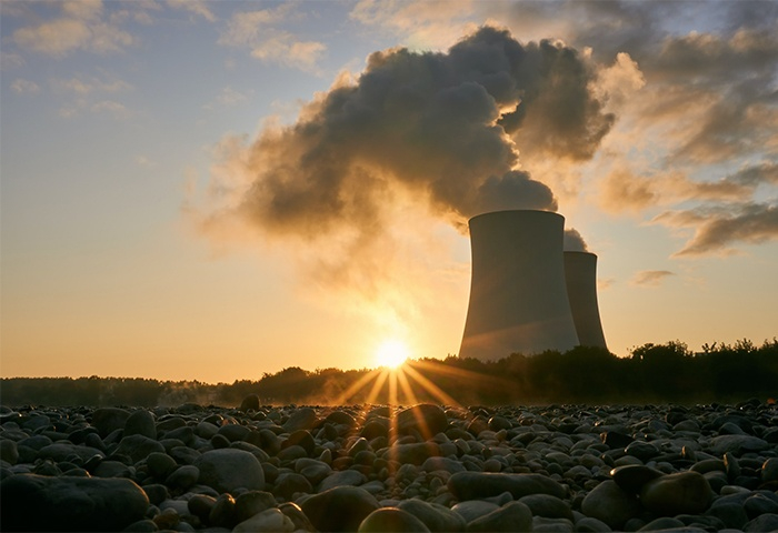 First Nuclear Power Station in Poland to Cost $20 Bn