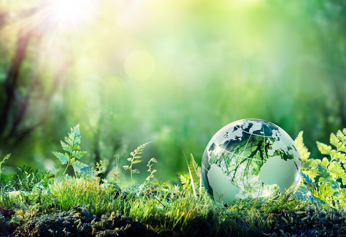 Schneider Electric steps up carbon neutrality goal with new actions