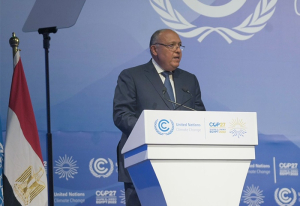 External Circumstances Should Not Affect Negotiation, Says New COP27 President