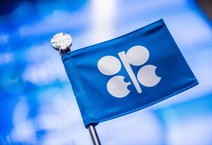 OPEC reviews its crude oil production after Saudi attacks