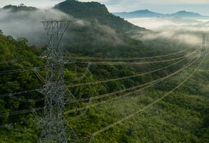 Global Electricity Demand Growth is Slowing, Weighed Down by Economic Weakness and High Prices