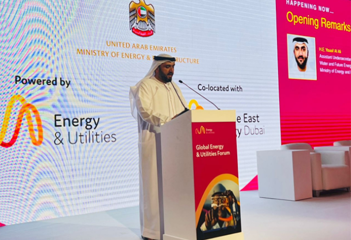 UAE to invest $163 billion to diversify country’s energy mix